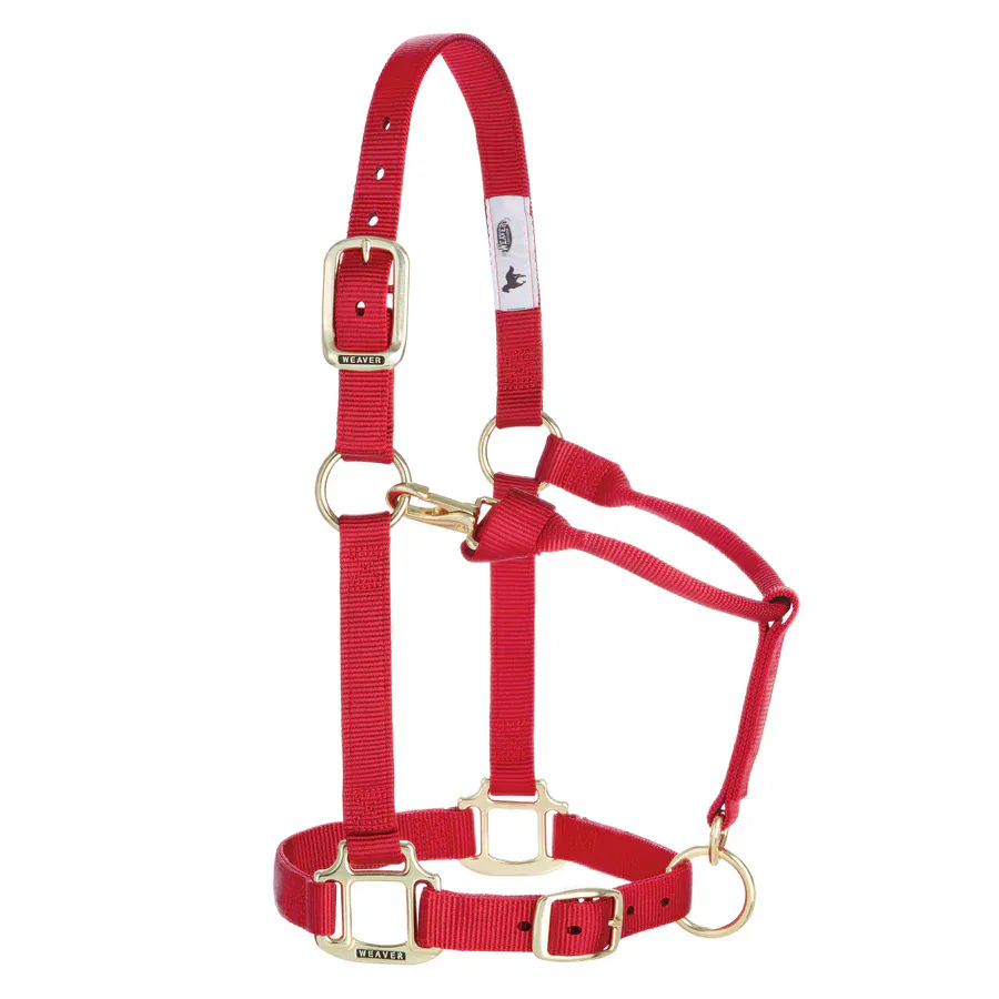 Adjustable Halters ~Average - Image 21