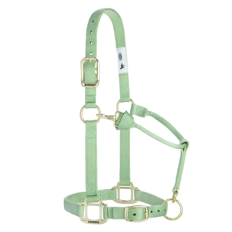 Adjustable Halters ~Average - Image 23