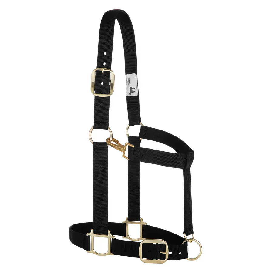 Adjustable Halters ~ Draft