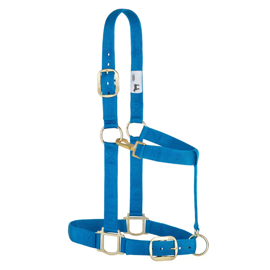 Adjustable Halters ~ Draft - Image 2