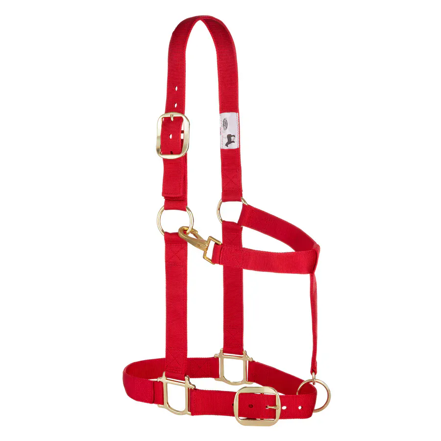 Adjustable Halters ~ Draft - Image 3