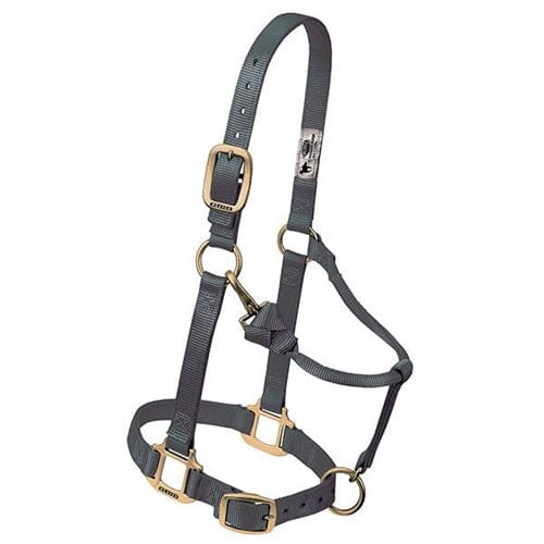 Adjustable Halters ~ Suckling - Image 11