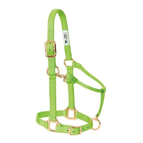 Adjustable Halters ~ Suckling - Image 9