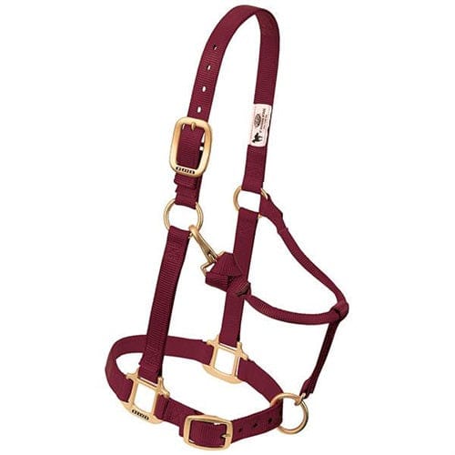 Adjustable Halters ~ Small - Image 10