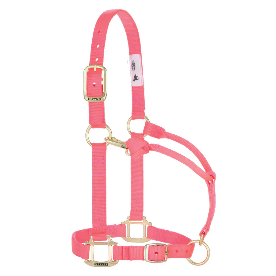 Adjustable Halters ~ Small - Image 14