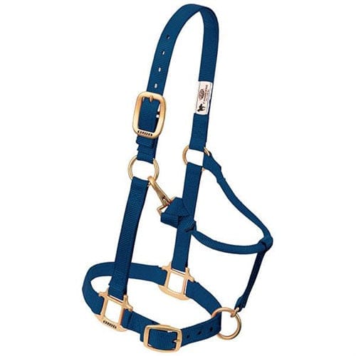 Adjustable Halters ~ Small - Image 2