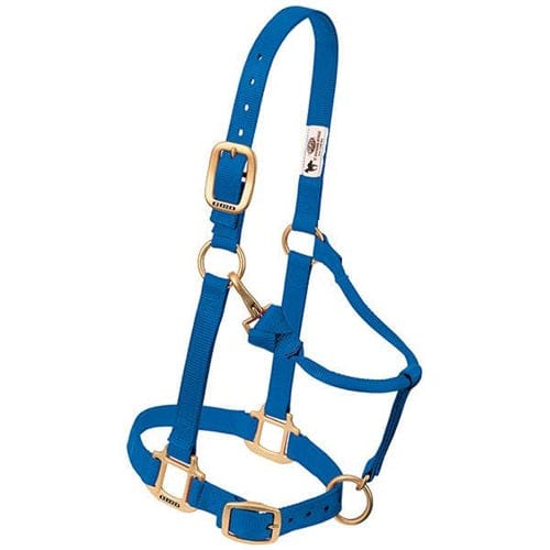 Adjustable Halters ~ Small - Image 3