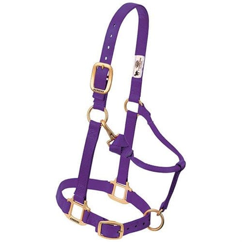 Adjustable Halters ~ Small - Image 4