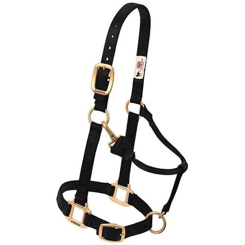Adjustable Halters ~ Weanling