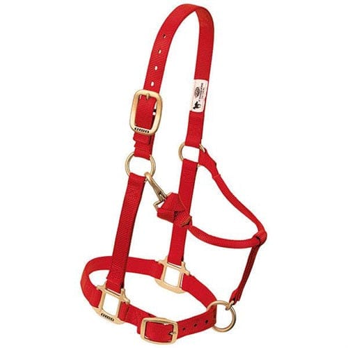 Adjustable Halters ~ Weanling - Image 5