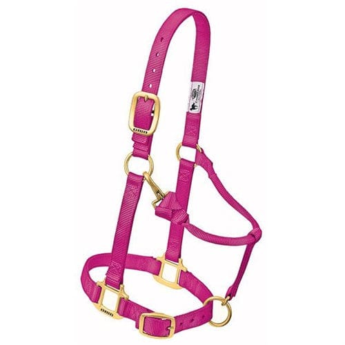 Adjustable Halters ~ Weanling - Image 6