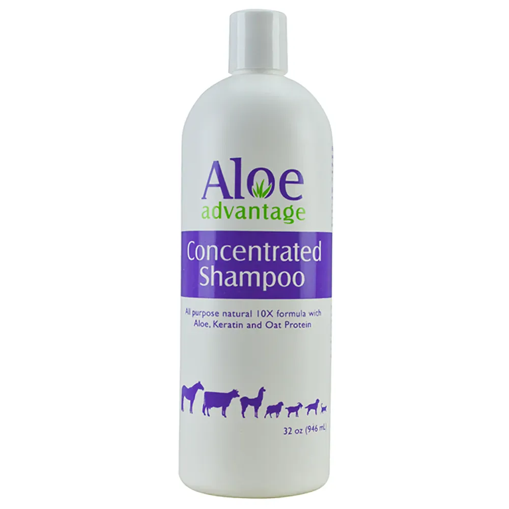Aloe Advantage Concentrated Shampoo