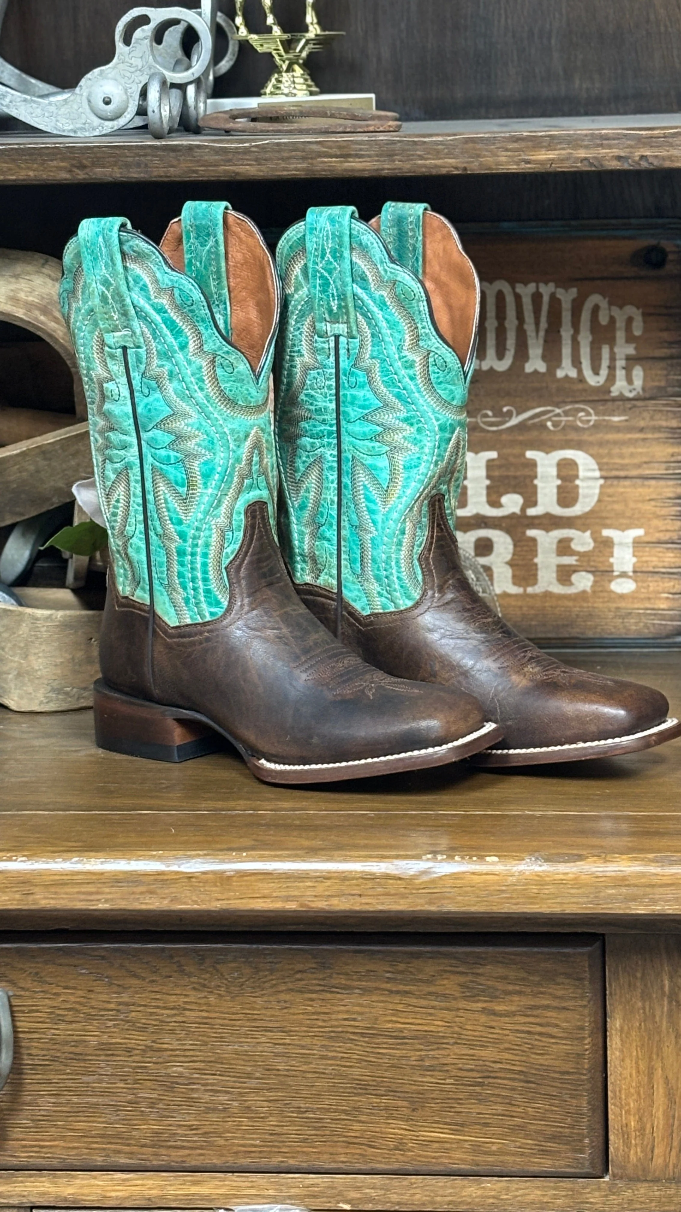 Babs Western Boots by Dan Post