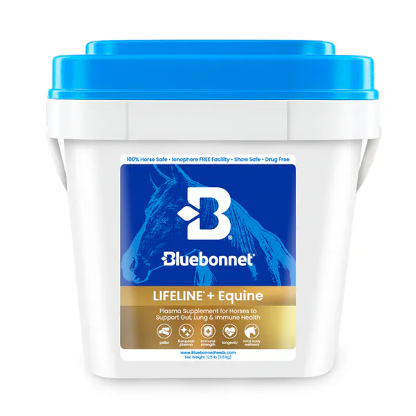 Bluebonnet LIFELINE®+ Equine