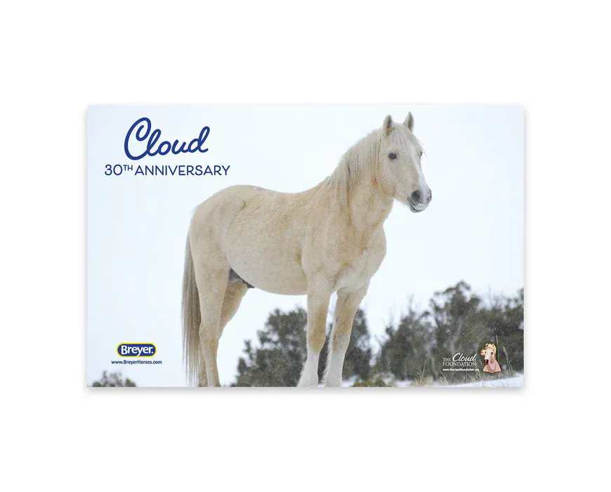 Breyer Cloud | 30th Anniversary Edition