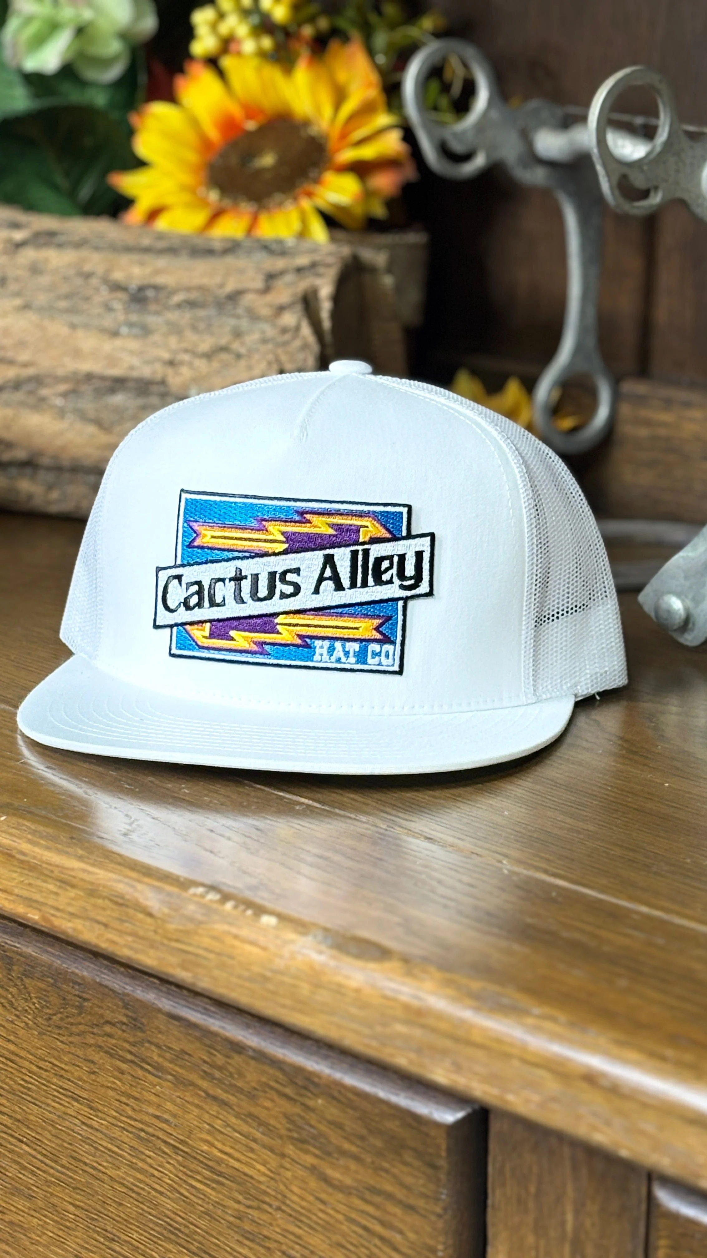 Cactus Alley Hat ~ Aztec