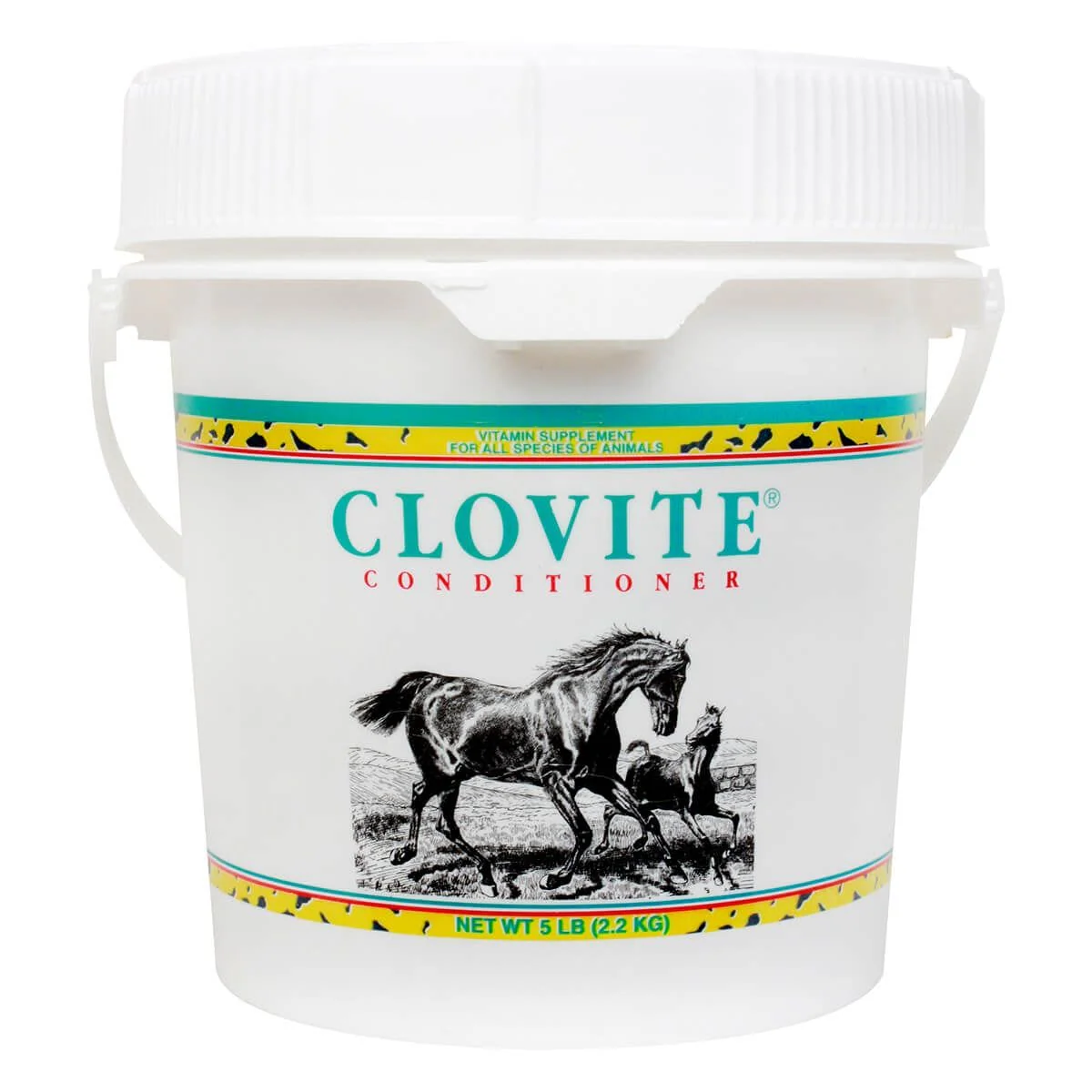 Clovite Conditioner for All Species