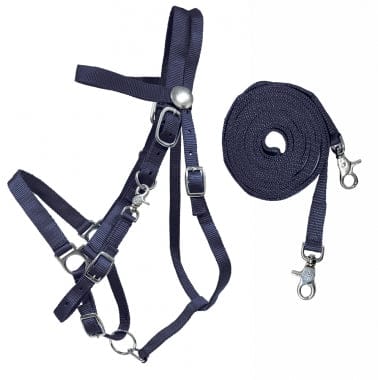 Combination Bridle Nylon Combination Halter Bridle