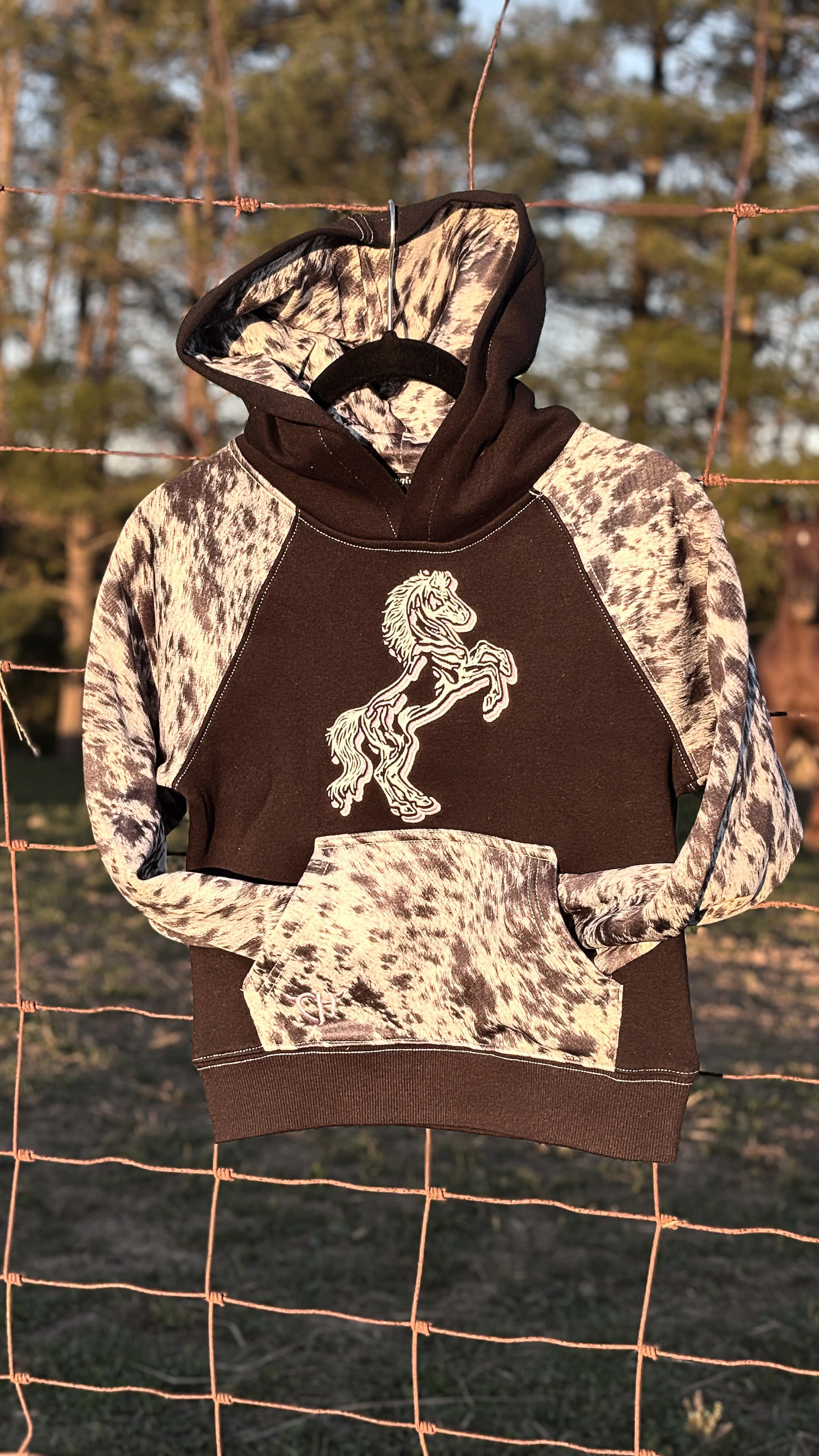 Cowgirl Hardware Raglan Hoodie