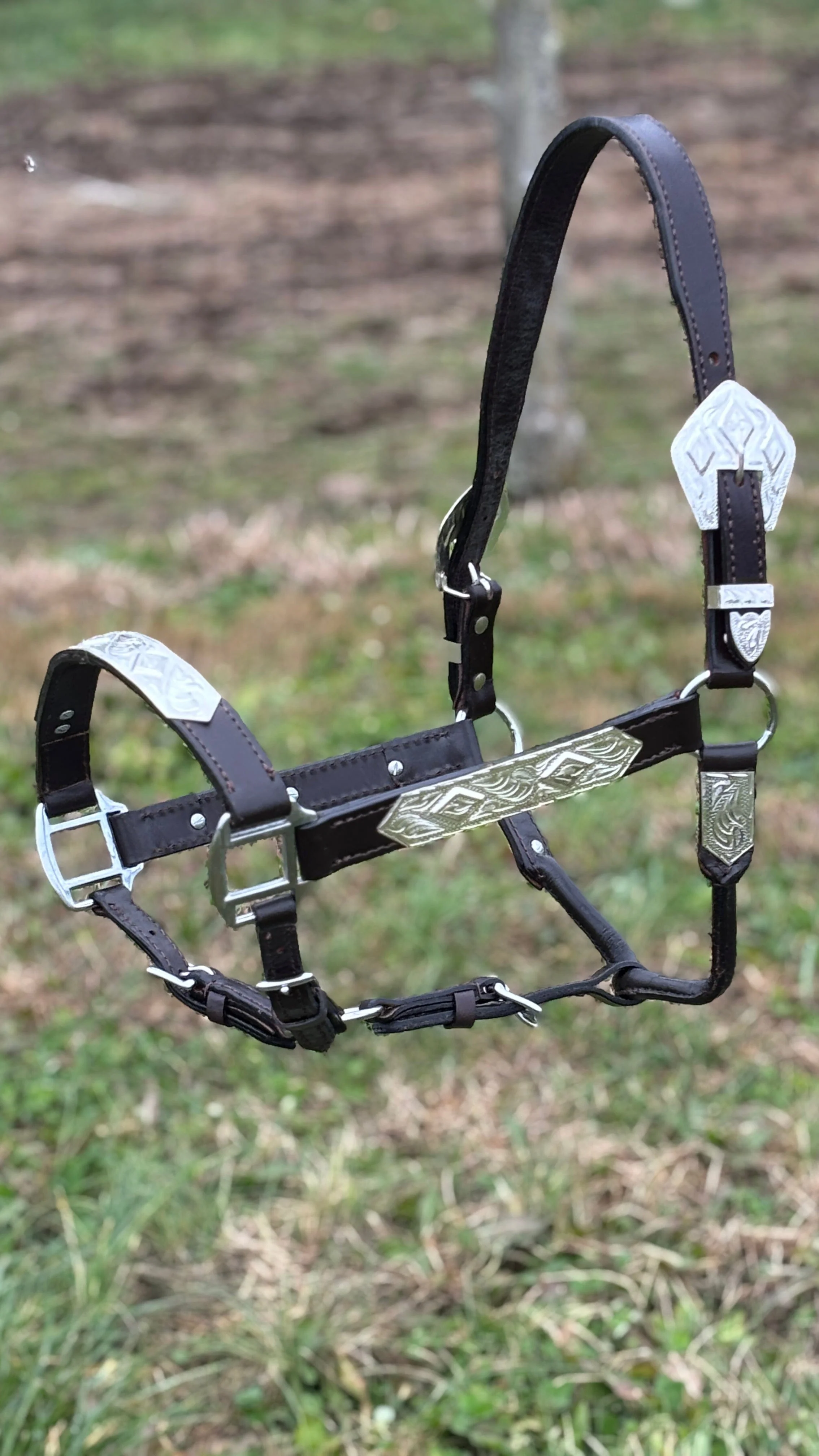 Dark Leather Show Halter  ~ Horse - Image 4