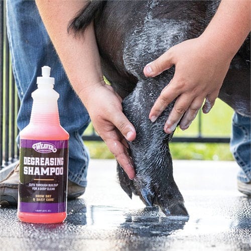 Degreasing Shampoo - Image 2