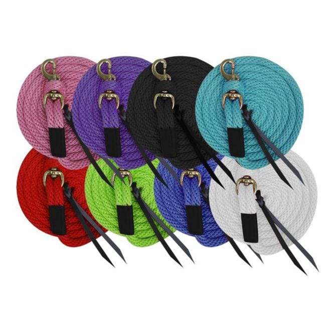 Derby Lead W/Removable Snap ~ 10'