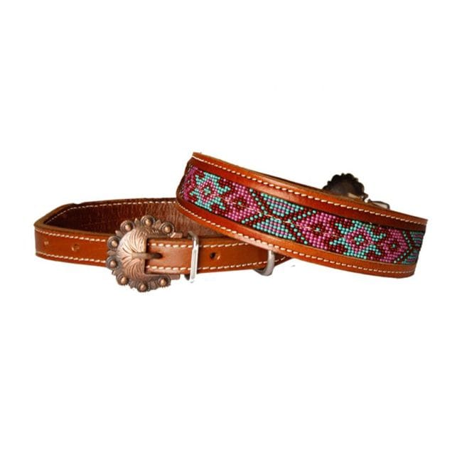Dog Collar ~ Southwest Beaded