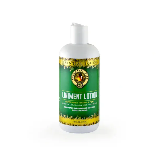 Essential Equine LINIMENT LOTION