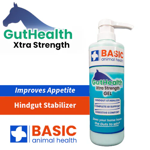 GutHealth Xtra Strength Gel for Horses