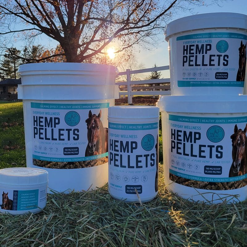 Healing Cowgirl ~ Hemp Pellets - Image 2