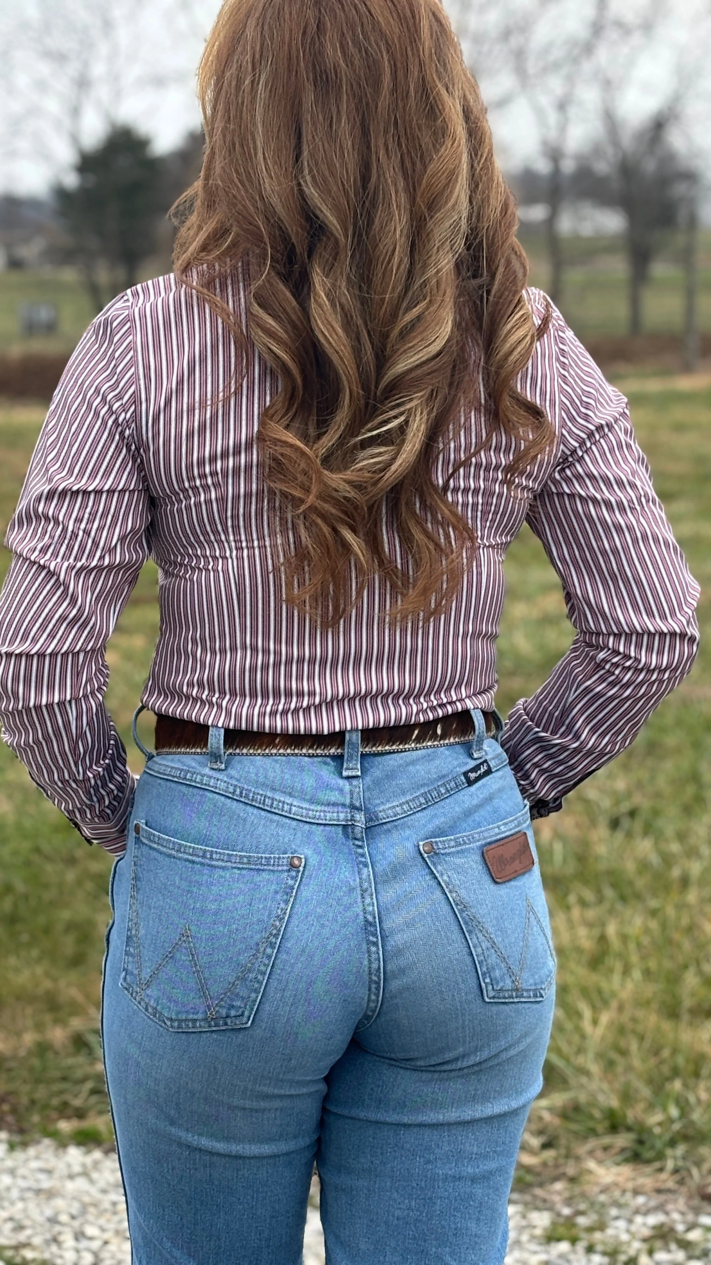 Ladies Cinch ~ Mulberry Stripe - Image 3