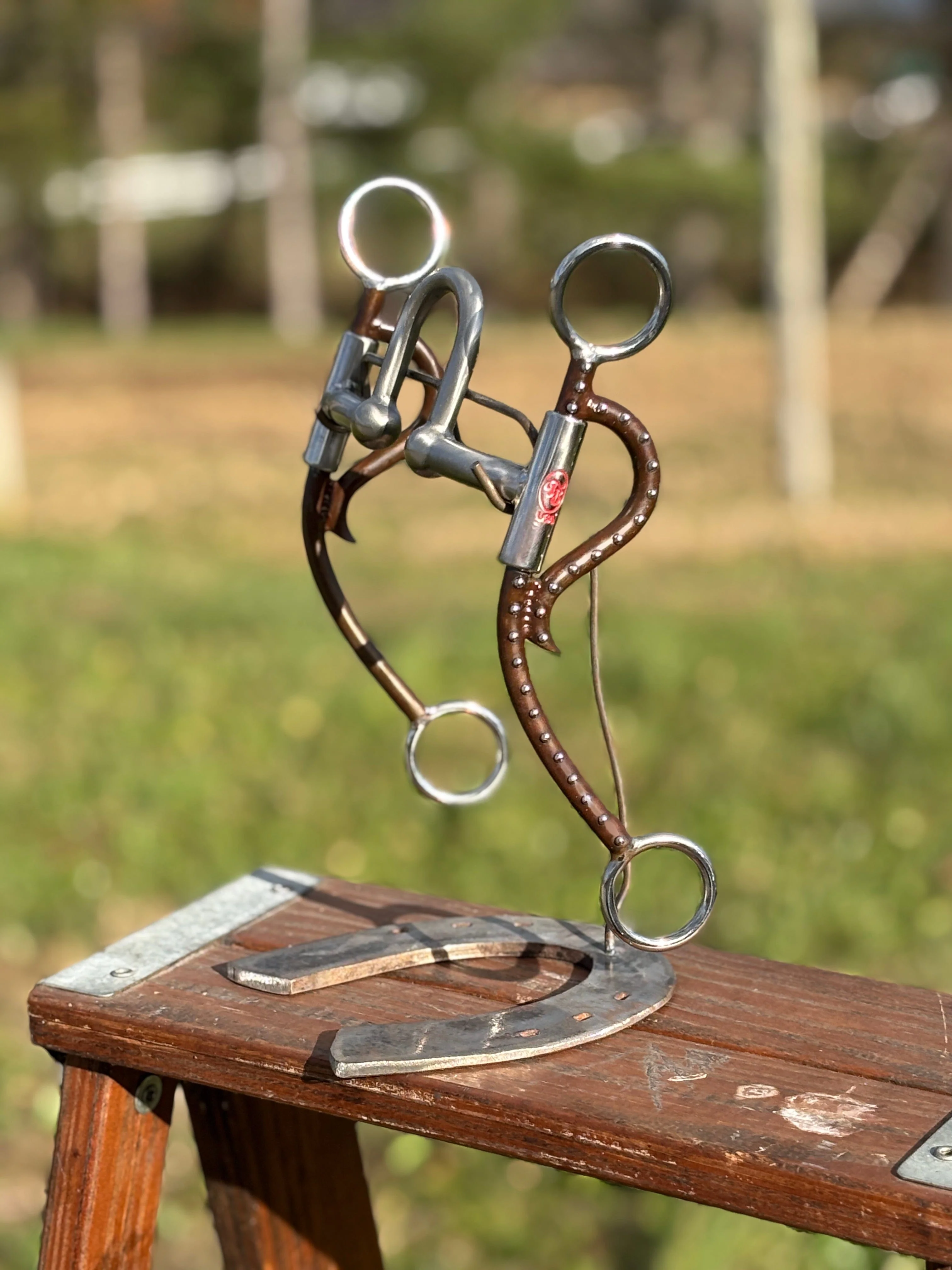 Long Horn Silverado - Image 2