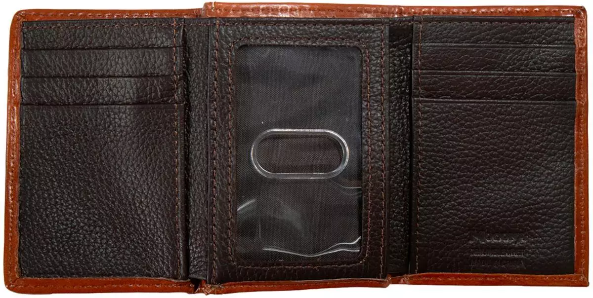 Longhorn Tri-Fold - Image 2