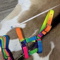 Mini Foal Nylon Halters - Image 2