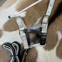 Mini Foal Nylon Halters - Image 3