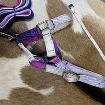 Mini Foal Nylon Halters - Image 4