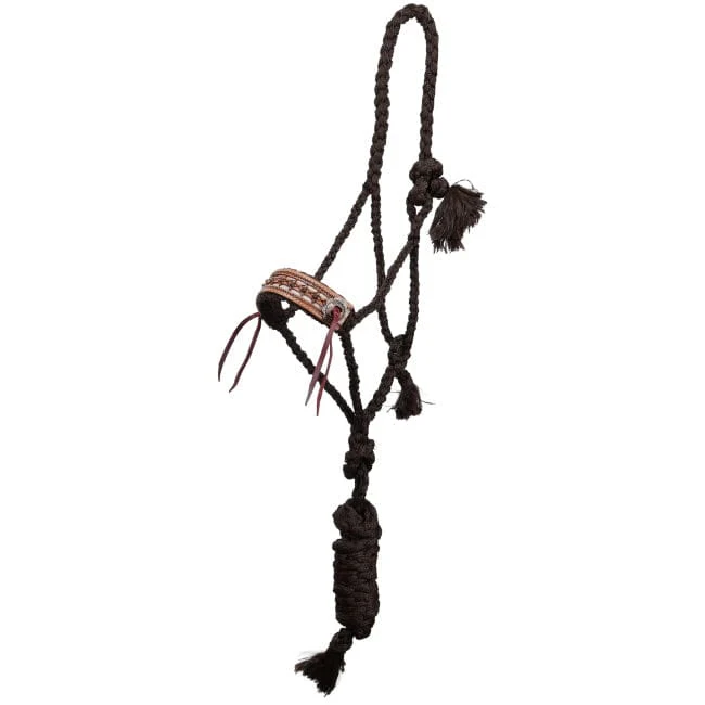 Mule Tape Halter ~ Cow Camp