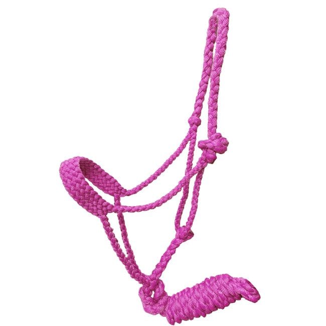 Mule Tape Halter ~ Pony - Image 2