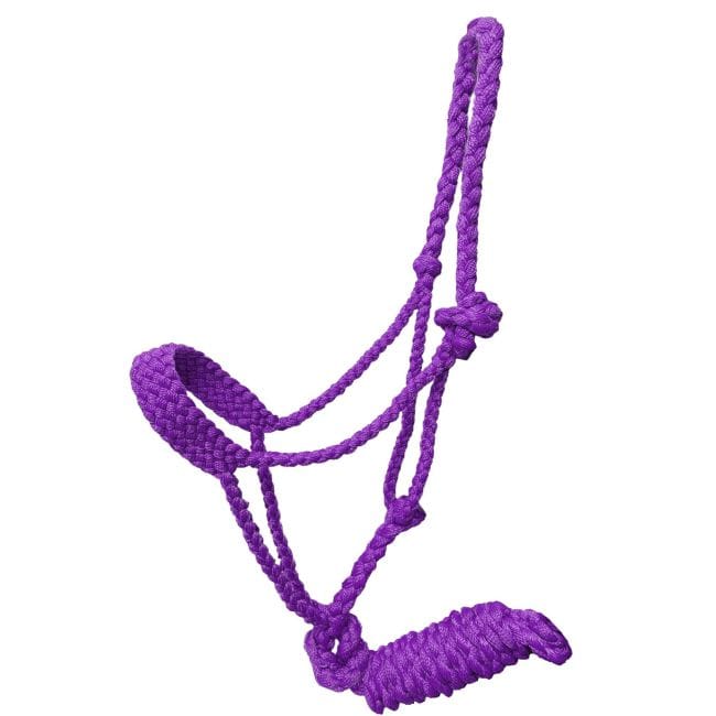 Mule Tape Halter ~ Pony - Image 3
