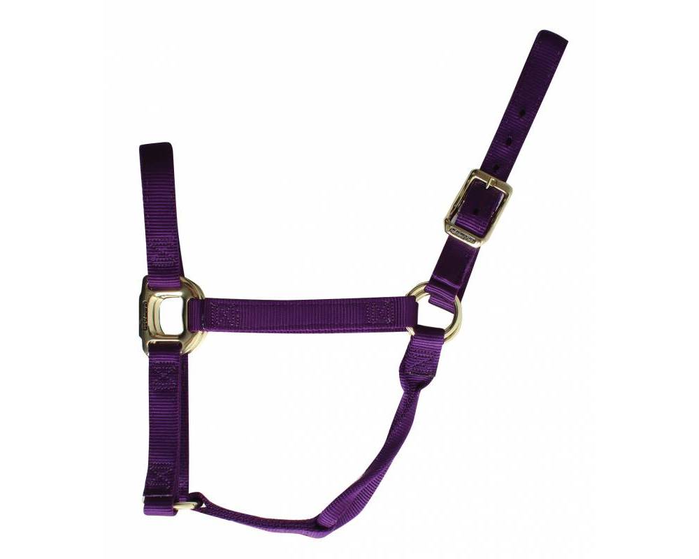PC Nylon Halter ~ Large - Image 3