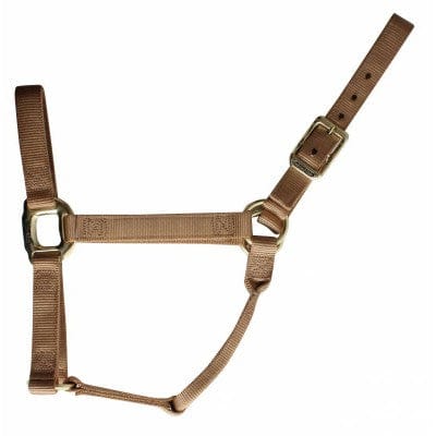 PC Nylon Halter ~ Large - Image 4