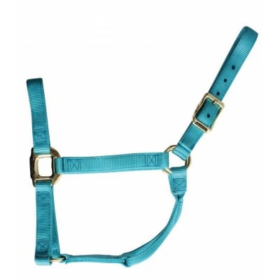 PC Nylon Halter ~ Large - Image 5