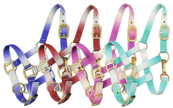 Nylon Halters ~ Ombre ~ Pony