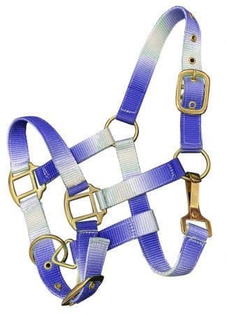 Nylon Halters ~ Ombre ~ Pony - Image 2