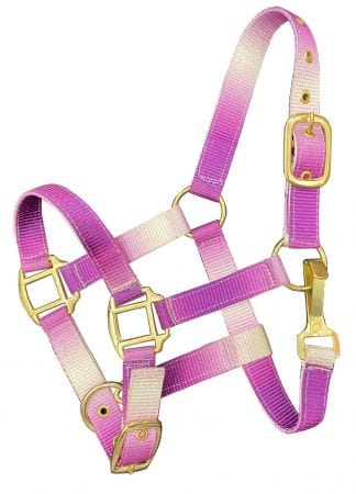 Nylon Halters ~ Ombre ~ Pony - Image 3
