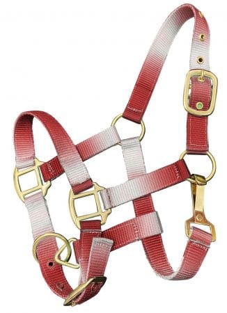 Nylon Halters ~ Ombre ~ Pony - Image 4