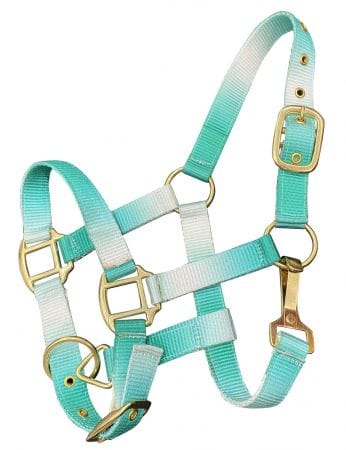 Nylon Halters ~ Ombre ~ Pony - Image 5