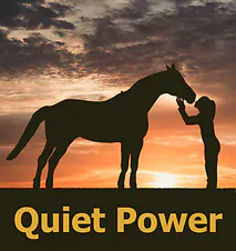 Performance Quiet Power