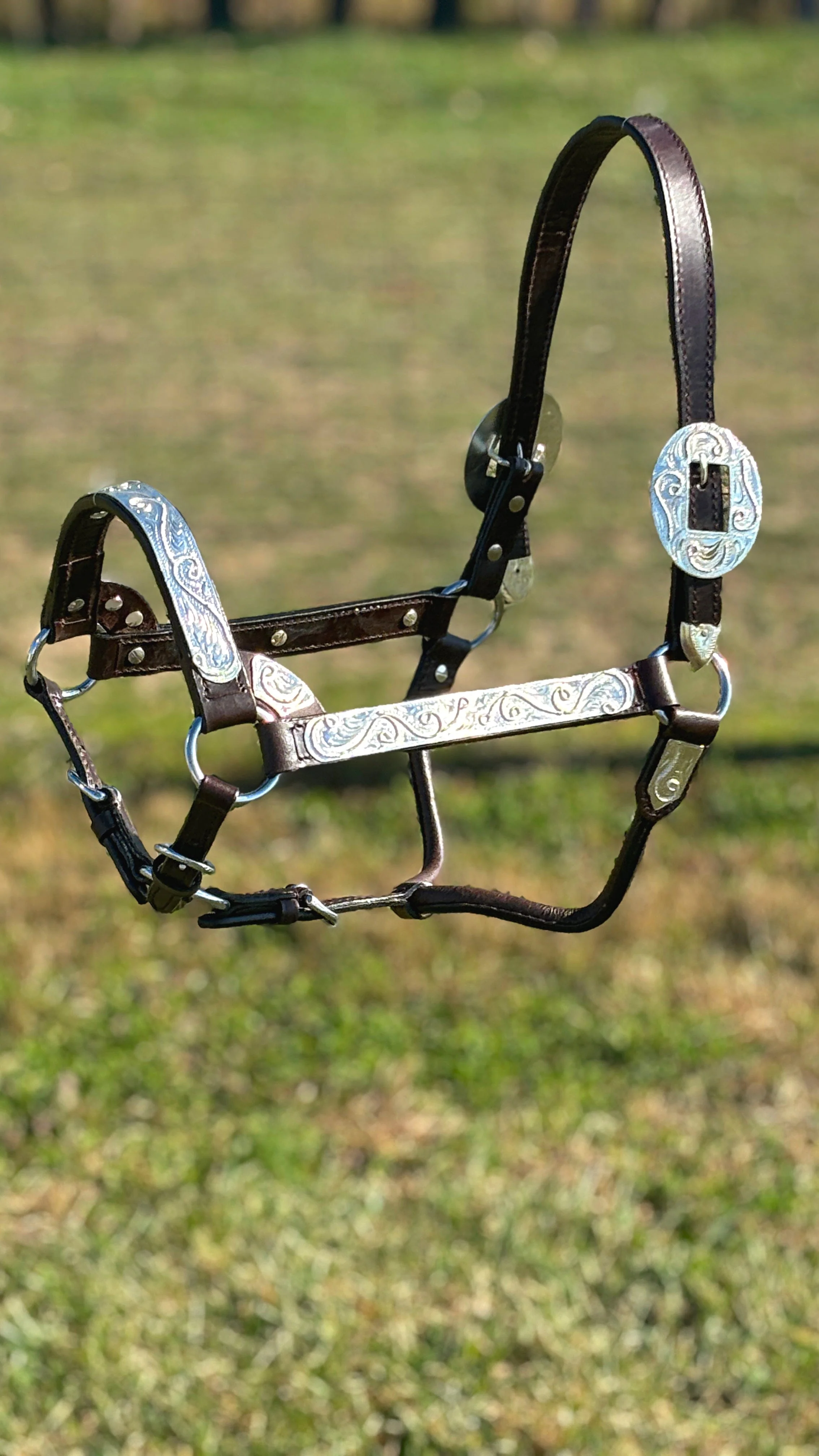 Royal King Show Halter ~ Silver Scroll - Image 4