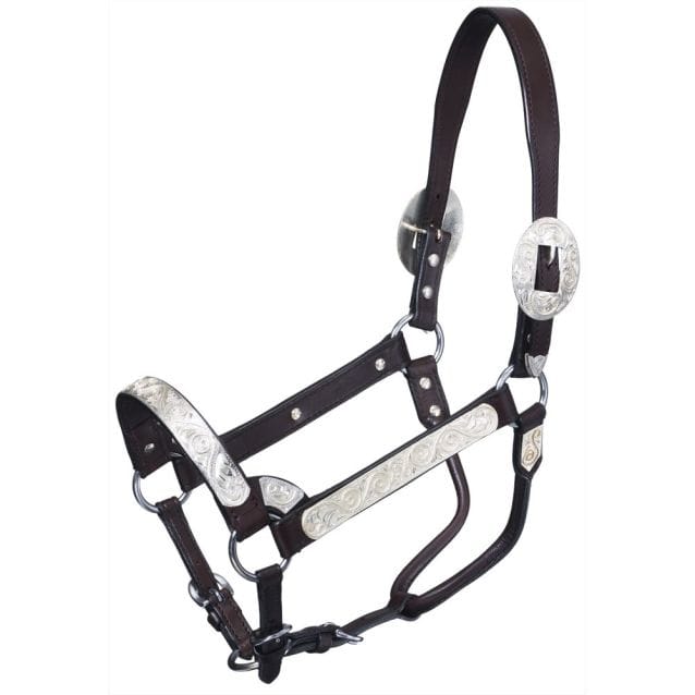 Royal King Show Halter ~ Silver Scroll - Image 5